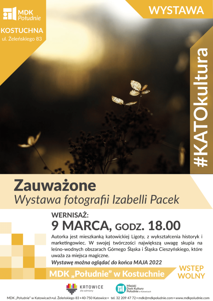 zauważone. wystawa fotografii izabelli pacek