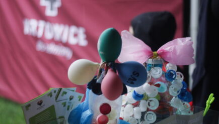 rodzinny piknik ekologiczny w katowicach-piotrowicach mdk południe
